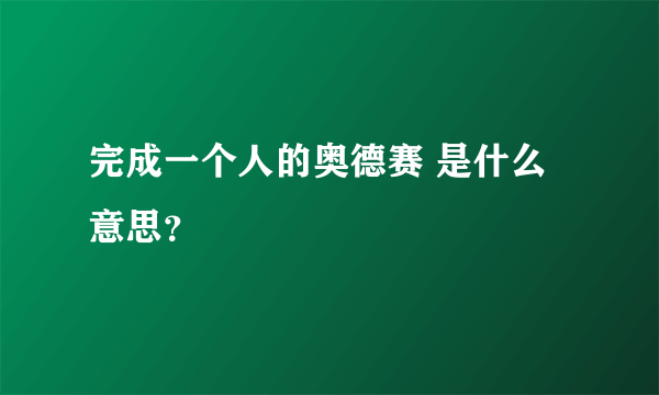 完成一个人的奥德赛 是什么意思？