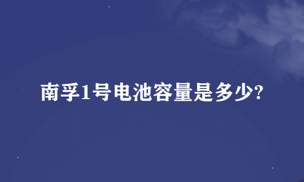 南孚1号电池容量是多少?