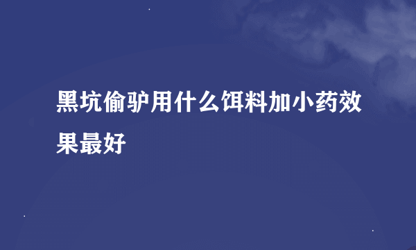 黑坑偷驴用什么饵料加小药效果最好