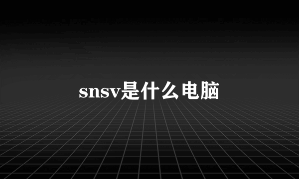 snsv是什么电脑