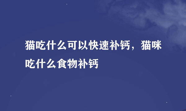 猫吃什么可以快速补钙，猫咪吃什么食物补钙