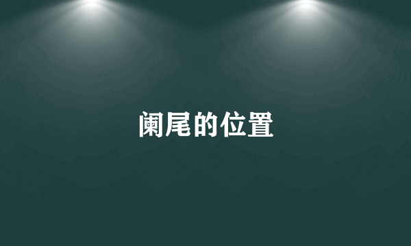 阑尾的位置