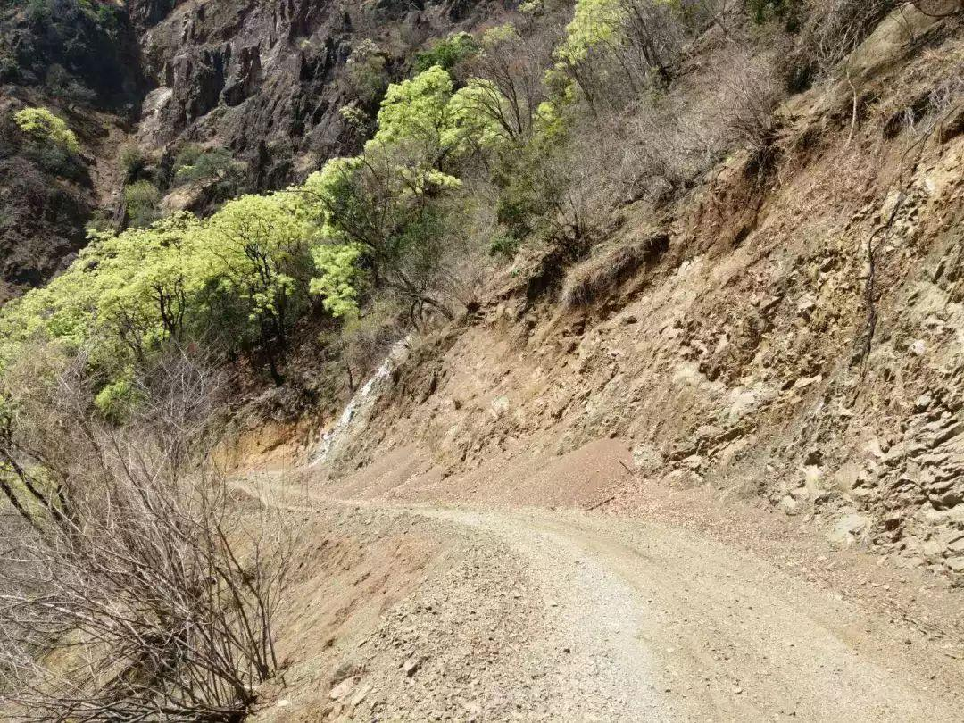 驾驶机动车在没有道路中心线的狭窄山路怎样会车呢？