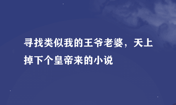 寻找类似我的王爷老婆，天上掉下个皇帝来的小说