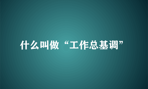 什么叫做“工作总基调”