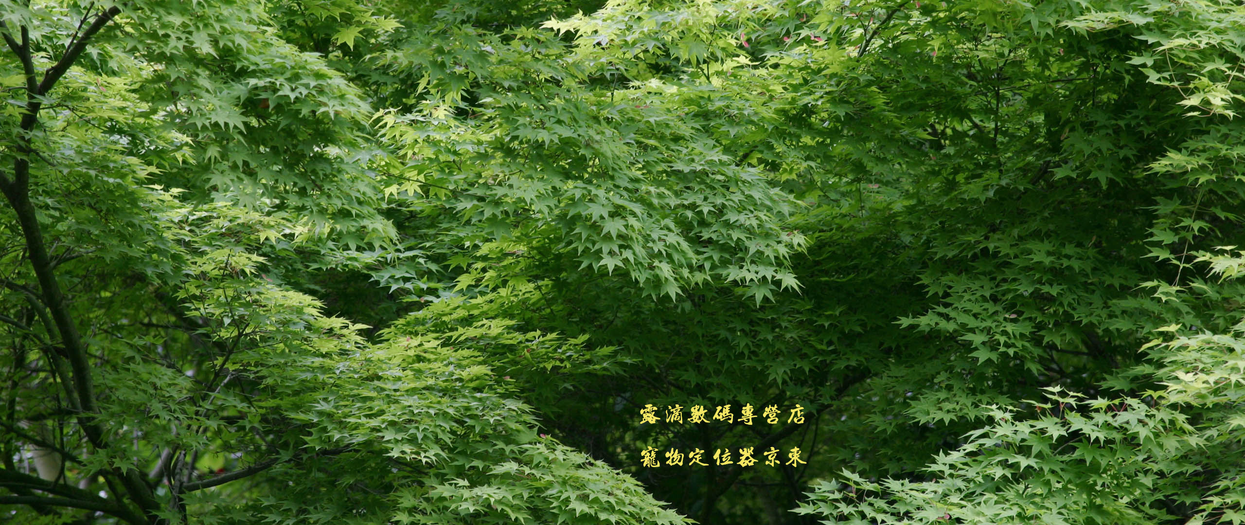 有没有2560x1080高清壁纸，多谢
