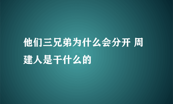 他们三兄弟为什么会分开 周建人是干什么的