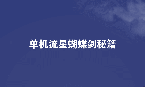 单机流星蝴蝶剑秘籍