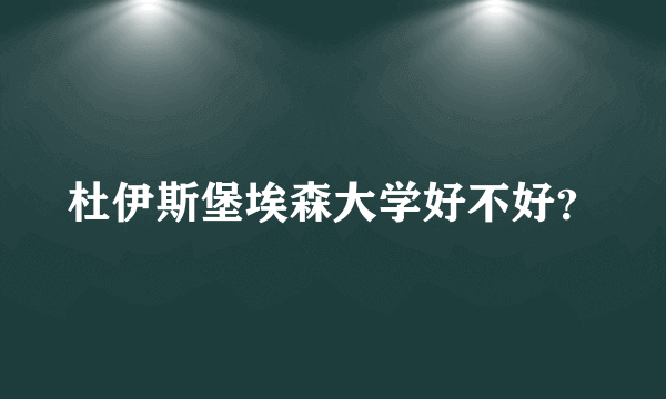 杜伊斯堡埃森大学好不好？