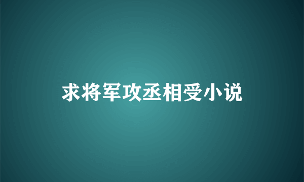 求将军攻丞相受小说