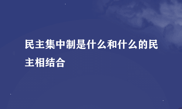 民主集中制是什么和什么的民主相结合