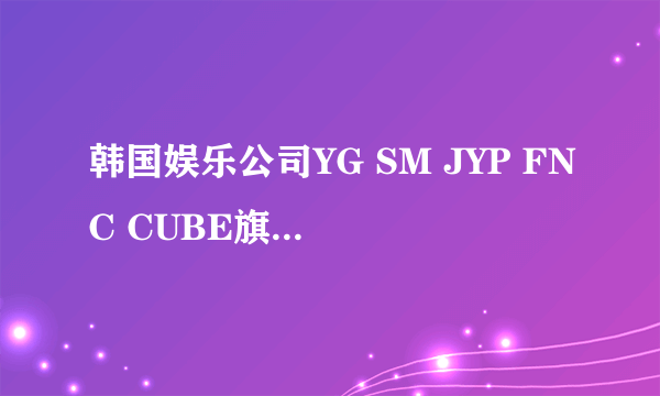 韩国娱乐公司YG SM JYP FNC CUBE旗下艺人的风格是怎样的？