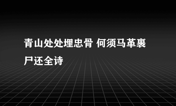青山处处埋忠骨 何须马革裹尸还全诗