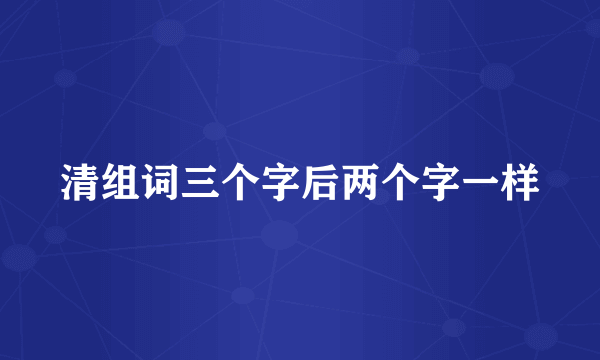 清组词三个字后两个字一样