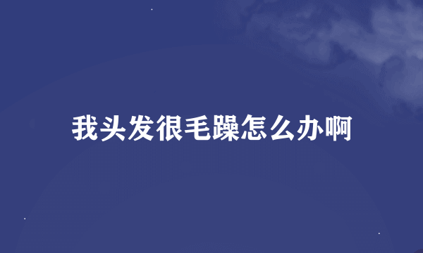 我头发很毛躁怎么办啊
