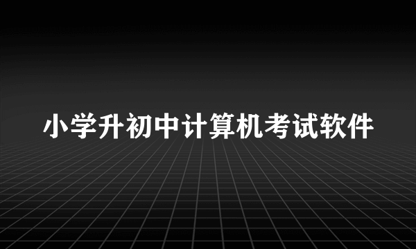 小学升初中计算机考试软件