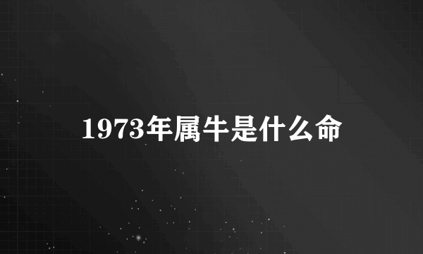 1973年属牛是什么命
