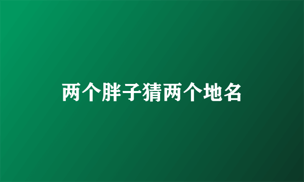 两个胖子猜两个地名