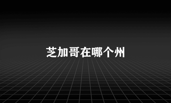 芝加哥在哪个州