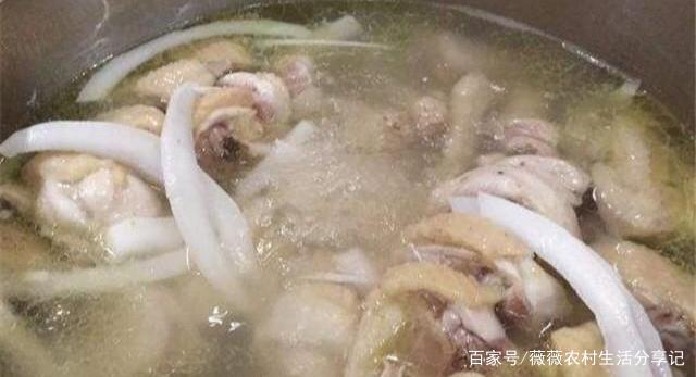 清远鸡有什么特点？为何椰子鸡火锅要选择清远鸡呢？