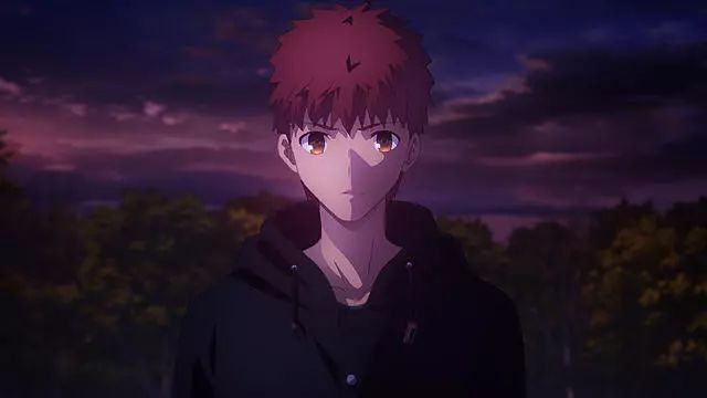 剧场版《命运之夜—天之杯:恶兆之花》的票房成绩能破千万吗？