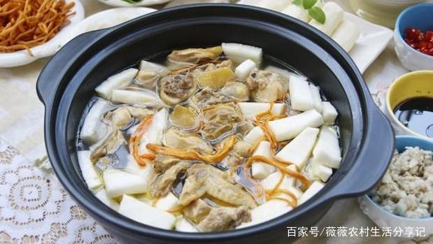 清远鸡有什么特点？为何椰子鸡火锅要选择清远鸡呢？