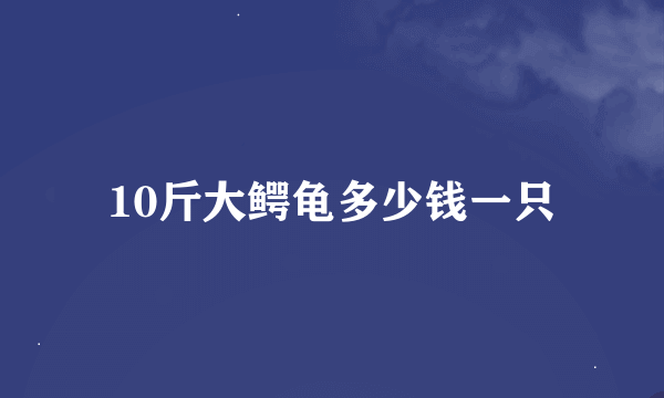 10斤大鳄龟多少钱一只