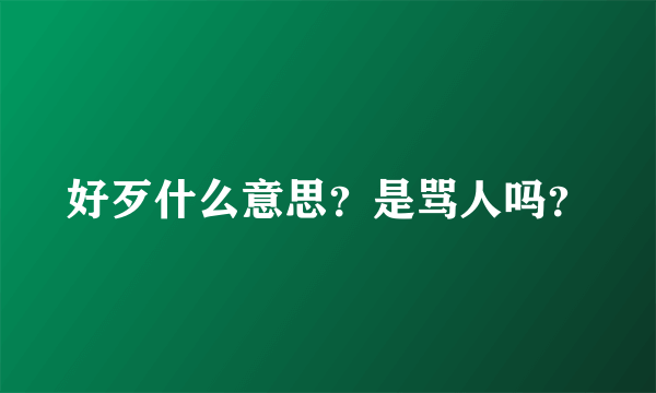 好歹什么意思？是骂人吗？