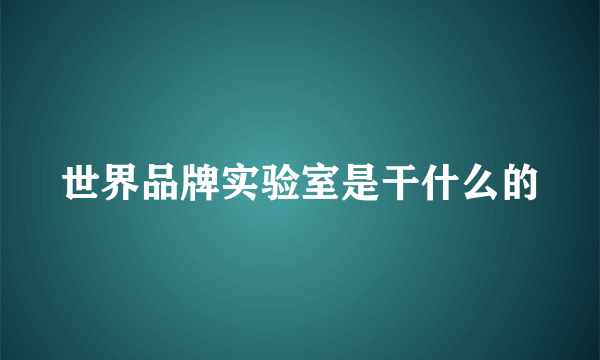 世界品牌实验室是干什么的