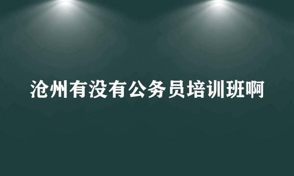 沧州有没有公务员培训班啊