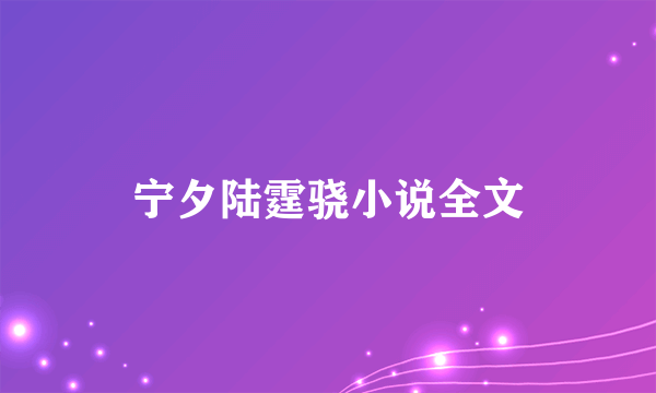 宁夕陆霆骁小说全文