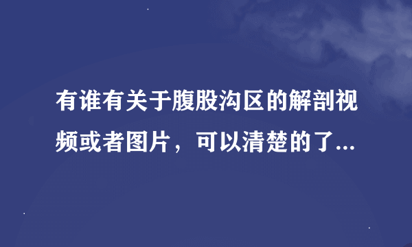 有谁有关于腹股沟区的解剖视频或者图片，可以清楚的了解腹股沟管，股环、股管、卵圆窝和那几个重要韧带等