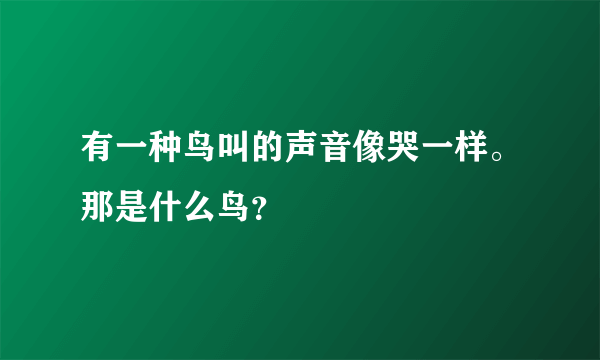 有一种鸟叫的声音像哭一样。那是什么鸟？