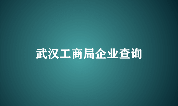 武汉工商局企业查询