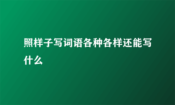 照样子写词语各种各样还能写什么