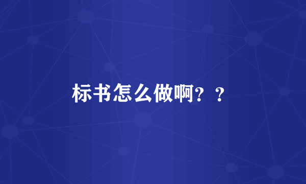 标书怎么做啊？？