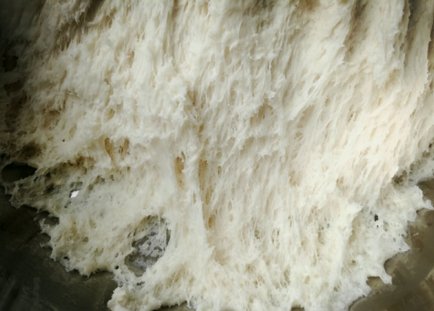为什么高筋面粉老是发酵不起来