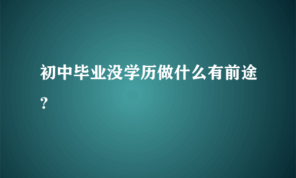 初中毕业没学历做什么有前途？