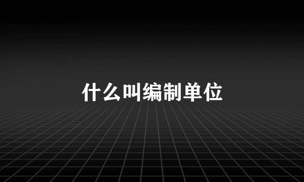 什么叫编制单位