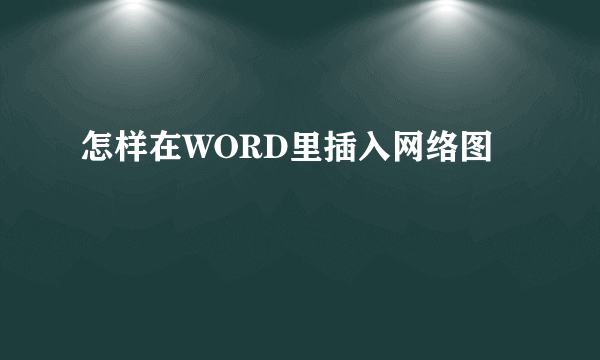 怎样在WORD里插入网络图