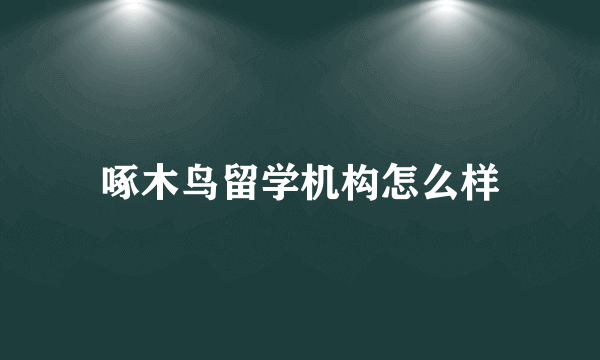 啄木鸟留学机构怎么样