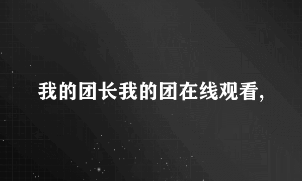 我的团长我的团在线观看,
