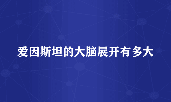 爱因斯坦的大脑展开有多大