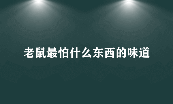 老鼠最怕什么东西的味道