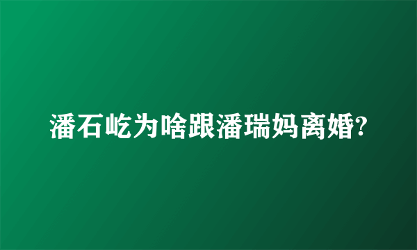 潘石屹为啥跟潘瑞妈离婚?