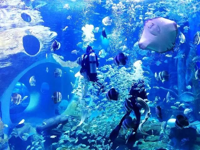 贵阳有几个旅游小镇？