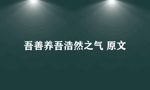 吾善养吾浩然之气 原文