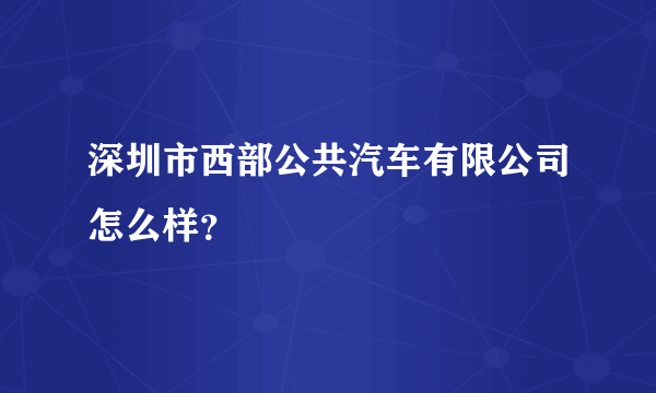 深圳市西部公共汽车有限公司怎么样？