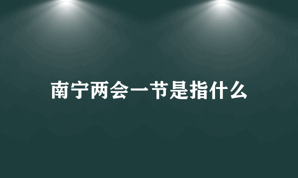 南宁两会一节是指什么
