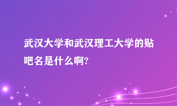 武汉大学和武汉理工大学的贴吧名是什么啊?